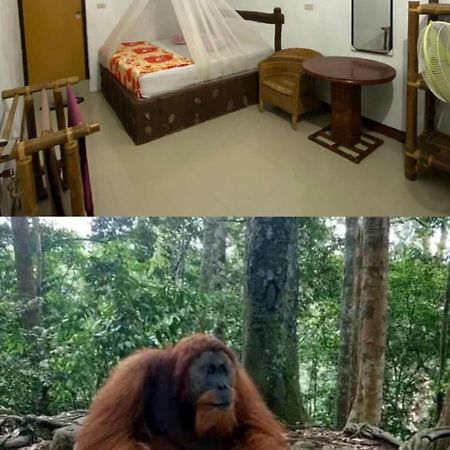 Brown Bamboo Guest House & Trekking Bukit Lawang Luaran gambar