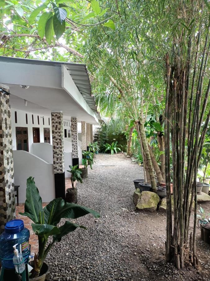 Brown Bamboo Guest House & Trekking Bukit Lawang Luaran gambar